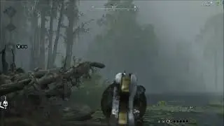 What A Shot / Hunt Showdown #129