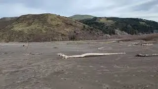 Walking A Black Sand Beach