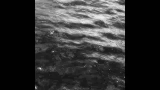 Black Tides of Heaven