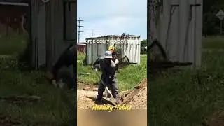 large scary spider #prank #shorts