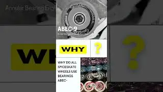 Surfskate I Why SpiceSkate 🧐 ❓