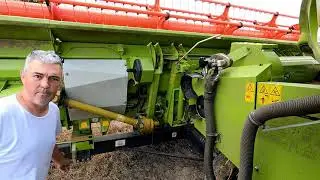 Moisson 2021  On essai à nouveau dans l'orge- Claas Lexion 750 Montana