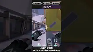 SAYF ACE | VIT vs TL #shorts