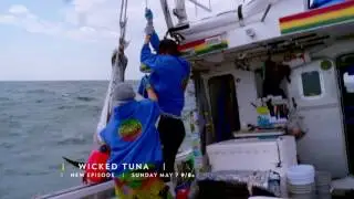 Wicked Tuna - Hickory Dickory Docked - 15 sec