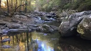 Holly Creek Picnic Area in Chatsworth, Georgia