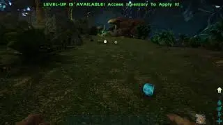 Playing Ark survival evolved aberration single play