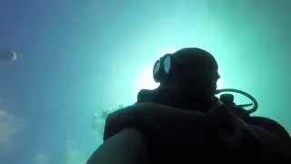 Scuba Diving: Koh Phi Phi's Ship Wreck