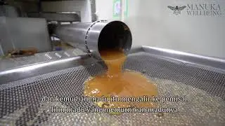 Proses Ekstraksi Madu Manuka Wellbeing