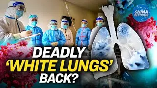 'White Lung' Phenomenon Among China's COVID-19 Spike | China In Focus