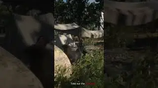 red dead redemption 2 online legendary animals mission#reddeadredemption2 #fyp #kobe #reddeadonline
