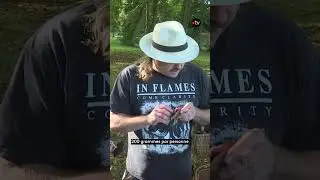 &Agrave; la cueillette des champignons au c&oelig;ur des for&ecirc;ts normandes