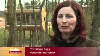 NDR Beitrag Baumhaushotel 'Tree Inn'