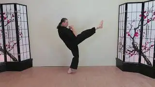 Leg Techniques for Two Black Stripes: Serpent Kick