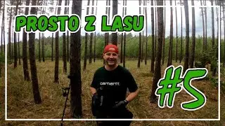 Prosto z lasu - WWII - wykrywacz metali - wykopki