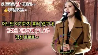 [K 트로트 한]애절한 감동 트로트