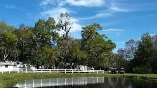 Clover Leaf Forest pond