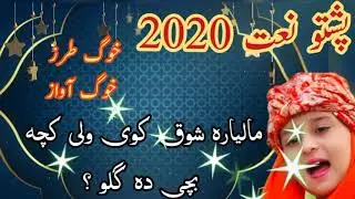 pashto naat 2020 | malyara shouq kavi wali kacha bachay da gulo | hd naats by Nayab Heera