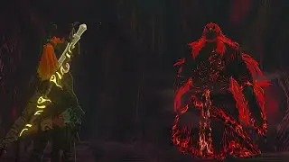 Midna Link against Ganondorf cutscenes - Depths Armor - Twilight Fabric - Dusk Weapons