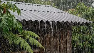 7 Millions Listen to This Rain 🌧️ | Natural Therapy for Deep Sleep & Stress Relief