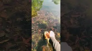 WOW!!!!That Was Noice!!!! #fishing #bassfishing #bankfishing #tinyrod