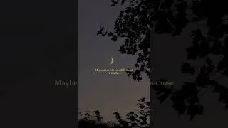 Moon 🌙   #beautiful #moon #moonlight #quotes