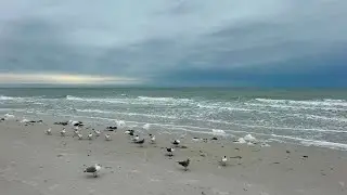 Robb&rsquo;s Saturday Morning Beach Walk on Vanderbilt Beach in North Naples, Florida | January 31, 2026