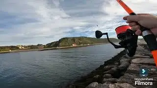 dia de pesca en la r&iacute;a de avil&eacute;s