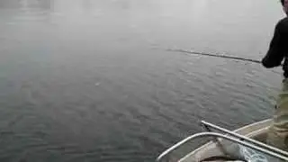 Muskie - 49 inches on Okauchee Lake