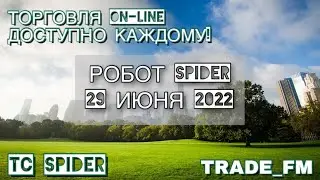САМЫЙ МОЩНЫЙ РОБОТ ФОРЕКС ОНЛАЙН SPIDER, 29 ИЮНЯ 2022