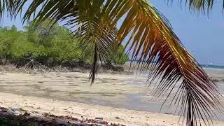 Feeling lazy at Neil island resort 