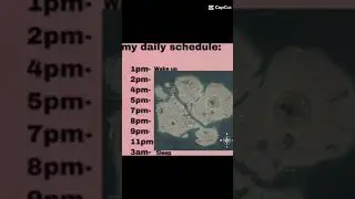 The new summer schedule!!!