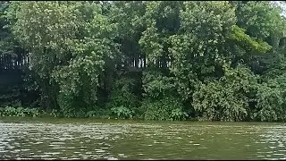 A FOR YOU TAMIL  is live thottampalayam river