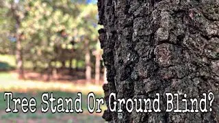 Tree Stand Or Ground Blind? What Works Best?