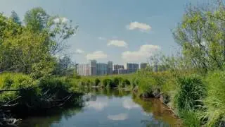 DJI Phantom 4 pro Narrow Sense & Course Lock Test
