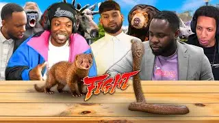 Funniest RDC Reacting to Animals Moments