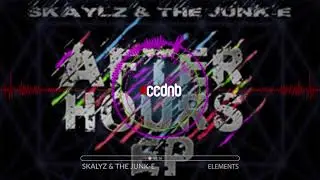 Skaylz & The Junk E - Elements (Intaface Audio)