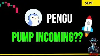 🚨Is PENGU COIN About to SKYROCKET in The Next 30 Days?