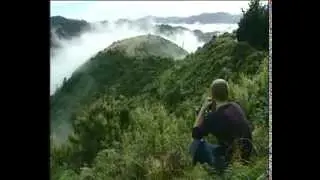 NZs Biggest Plot of Weed