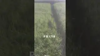P B 1718