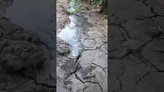 вода