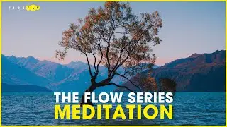 Firefly Wellness Flow Meditation