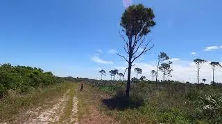 Canaveral National Seashore, Scrub Jay Trail and Biolab Rd.
