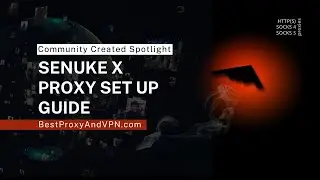 Руководство по настройке прокси-сервера SeNuke X