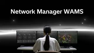 Система мониторинга сети (WAMS)
