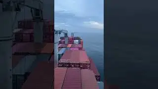 #viralvideo #liveyouradventure #oceanparadise #funny #travelmore #shortvideo #birds #sea #seaman #