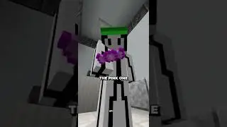 DO NOT Take more than Two #minecraft