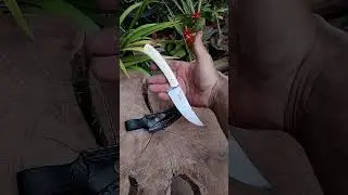 uma pequena not&aacute;vel 🔥🔥🔥
