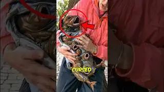 Top 3 Animals CURSED by Evolution