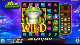 🐸Wild Hope & Drop🐸 Pragmatic Play | Free Play