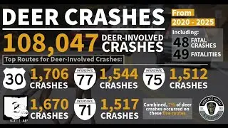 Watch out for those deer while you're on the roads!